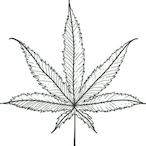 KickFlickFlex's Avatar'