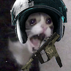 Mirror_CryCat's Avatar'