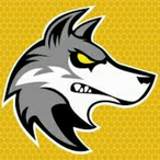 SwungByKirkk373's Avatar'