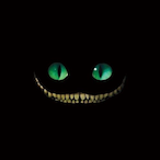 xd-quaticx's Avatar'