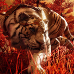 iZeRqZ's Avatar'