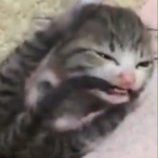 RsixSell3r's Avatar'