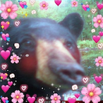 Party_Wizardd's Avatar'