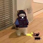 Chrisplay117's Avatar'