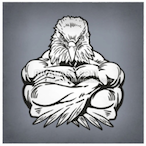 the_Eagle18's Avatar'