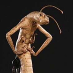 llllllacxdllllll's Avatar'