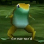 Apexis.GNN's Avatar'