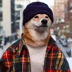 Cesco_Ferranda's Avatar'