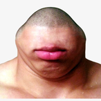Slothcheese's Avatar'