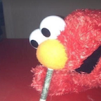 Ginicologista.'s Avatar'