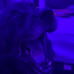 HauntedLord321's Avatar'