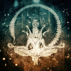 Sterbehilfe69's Avatar'