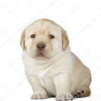 ebooleiskool's Avatar'