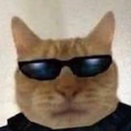 RidersBussy's Avatar'