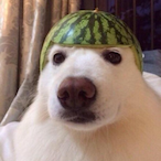 Cxrbon7's Avatar'