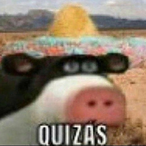 XXToro_7's Avatar'