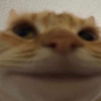 MiltonTop1's Avatar'