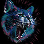 fishbright5's Avatar'