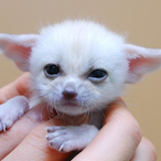 Jacksonuh3's Avatar'