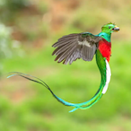 burger8421's Avatar'