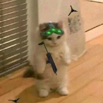 PerlomI's Avatar'