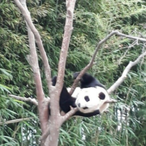 sibalnomdeul's Avatar'