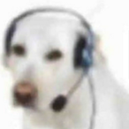 Trollface837's Avatar'