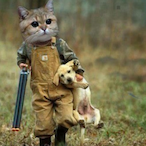 Sth toro's Avatar'