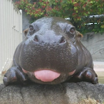 DON-Herohippo's Avatar'