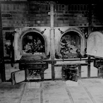 frank_-anne's Avatar'