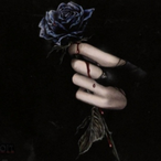 BlackRose..'s Avatar'