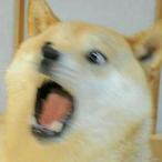PandaJpg's Avatar'