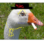 GooseYourself's Avatar'