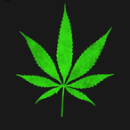 Schwifty42027's Avatar'