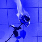GreenBean__x's Avatar'