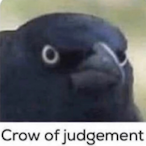 DollarJebbus's Avatar'