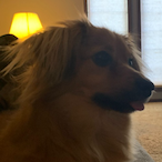 Erock18888's Avatar'