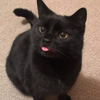 Slleepytime.'s Avatar