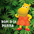 KaJoTa_'s Avatar'