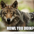 LoneWolve1's Avatar'