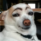 K1LL3R_KAR's Avatar'