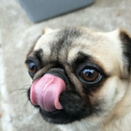 twofenzhonghou's Avatar'