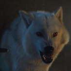 Yshomatsu007's Avatar