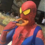 EepieDood's Avatar'