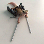 CalmaSouoCelso's Avatar'