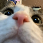 iluvyungins's Avatar'