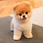 ITzQwerty.DJF's Avatar'