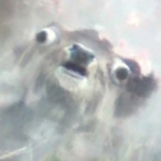 Lynx.Pilicy's Avatar'