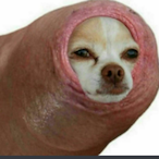 Capn_Gregg's Avatar'