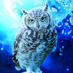 icexsilen's Avatar'